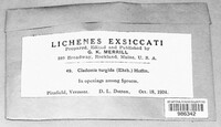 Image Associated With the Occurence